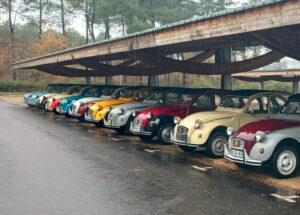 organiser une journée team building en entreprise