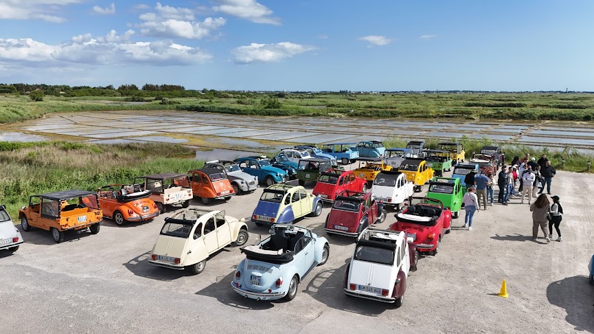 CSE - comites entreprise